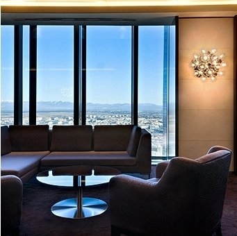 Flos Taraxacum Ceiling/Wall
