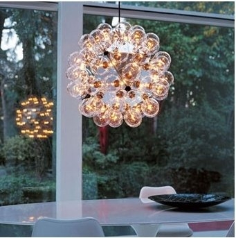 Flos Taraxacum Suspension 1