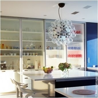 Flos Taraxacum Suspension 1