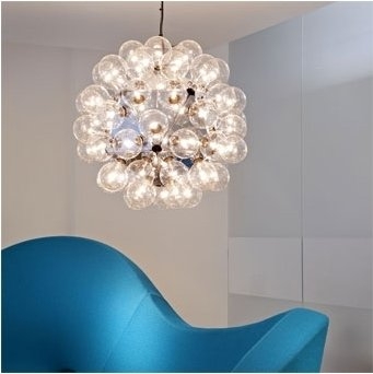 Flos Taraxacum Suspension 1