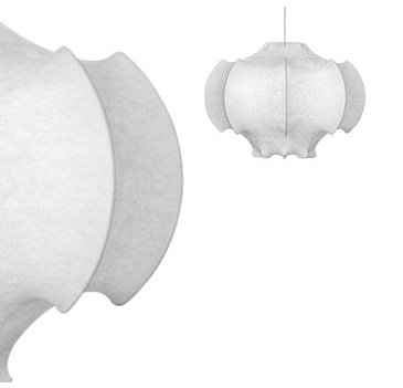 Flos Viscontea