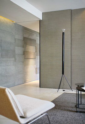 Flos Luminator