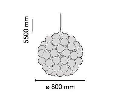 Flos Taraxacum Suspension 1