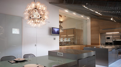 Flos Taraxacum Suspension 1