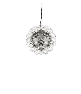 Flos Taraxacum Suspension 1