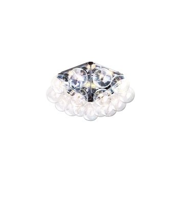 Flos Taraxacum Ceiling/Wall