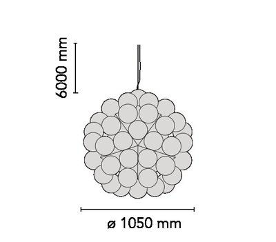 Flos Taraxacum Suspension 2