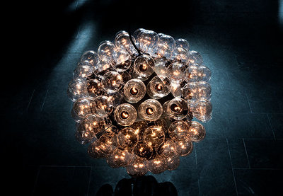 Flos Taraxacum Suspension 2