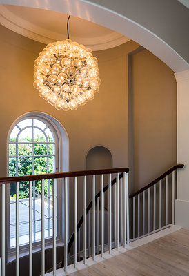 Flos Taraxacum Suspension 2