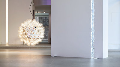 Flos Taraxacum Suspension 2
