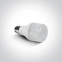 LED STREET LAMP 10W DL B22 FROSTED IP44 230V
